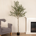 Olive Tree 190CM - 190CM Olive Tree Kd