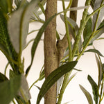 Olive Tree 190CM - 190CM Olive Tree Kd