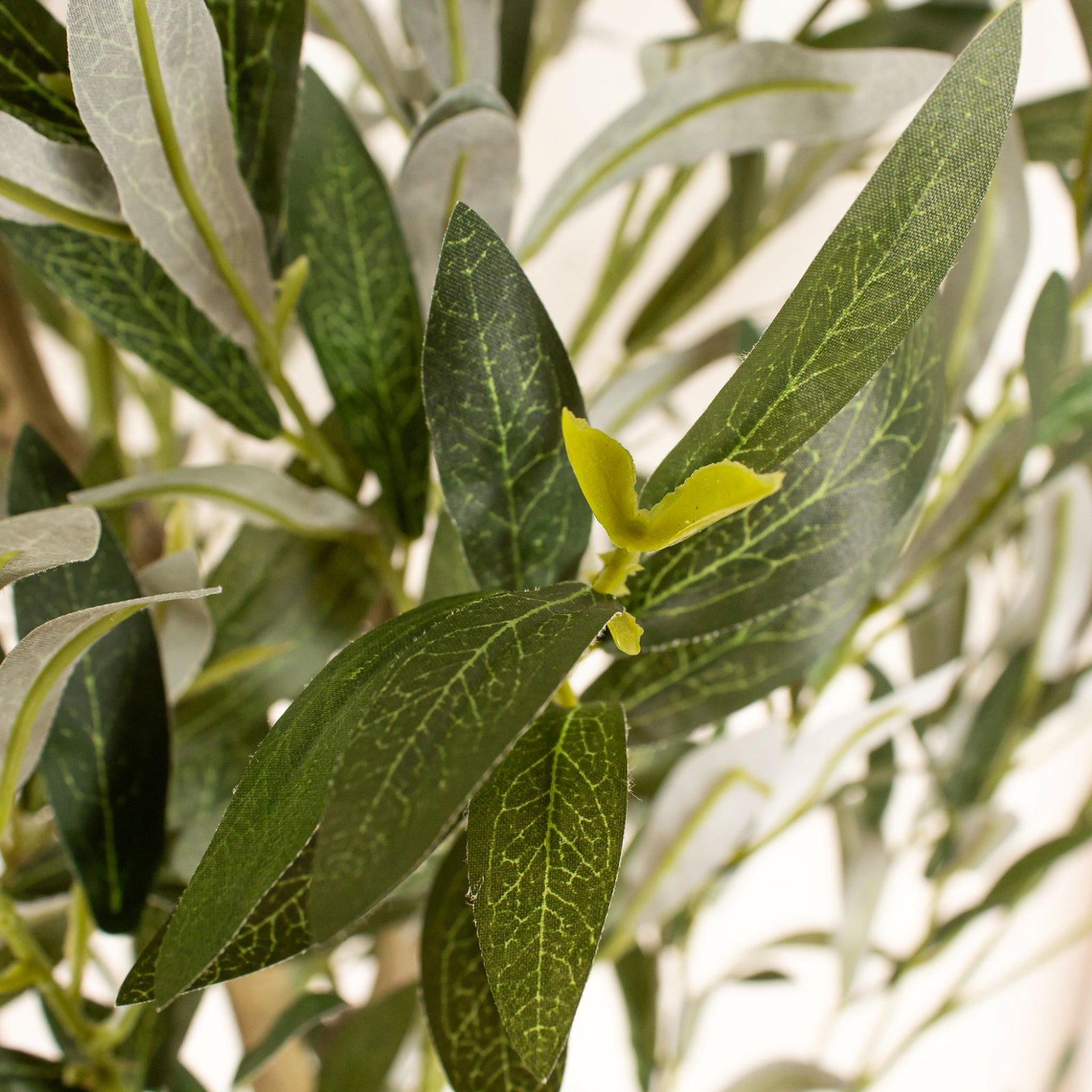 Olive Tree 190CM - 190CM Olive Tree Kd