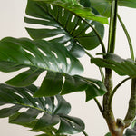 Real Touch Monstera 160CM - 160CM Real Touch Monstera