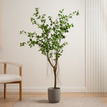 Real Touch Mini Ficus Tree 150CM - 150CM Real Touch Mini Ficus Tree