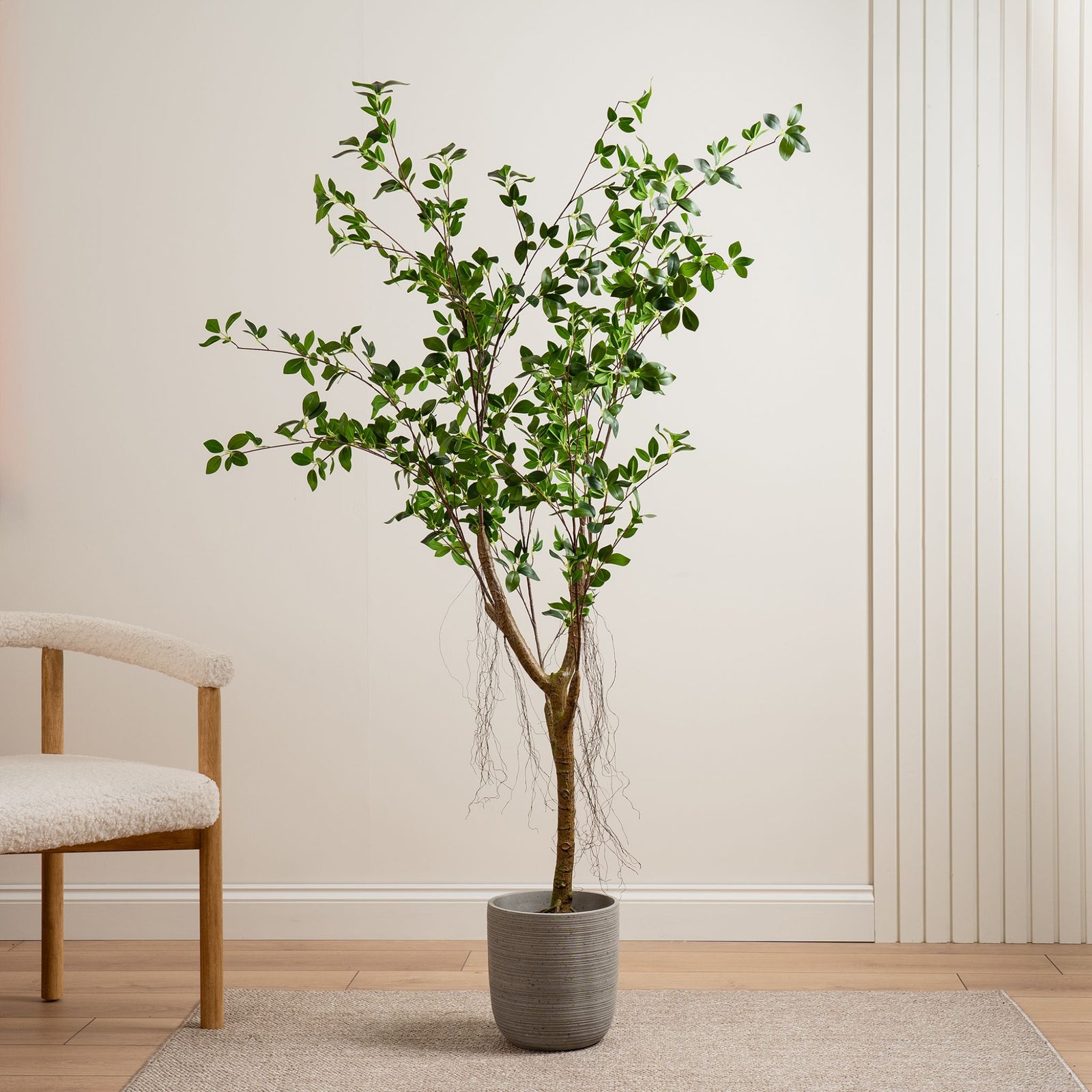 Real Touch Mini Ficus Tree 150CM - 150CM Real Touch Mini Ficus Tree