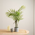 Palm In Grey Plastic Pot - 66cm Palm in Grey Plastic Pot Sterling Home 1