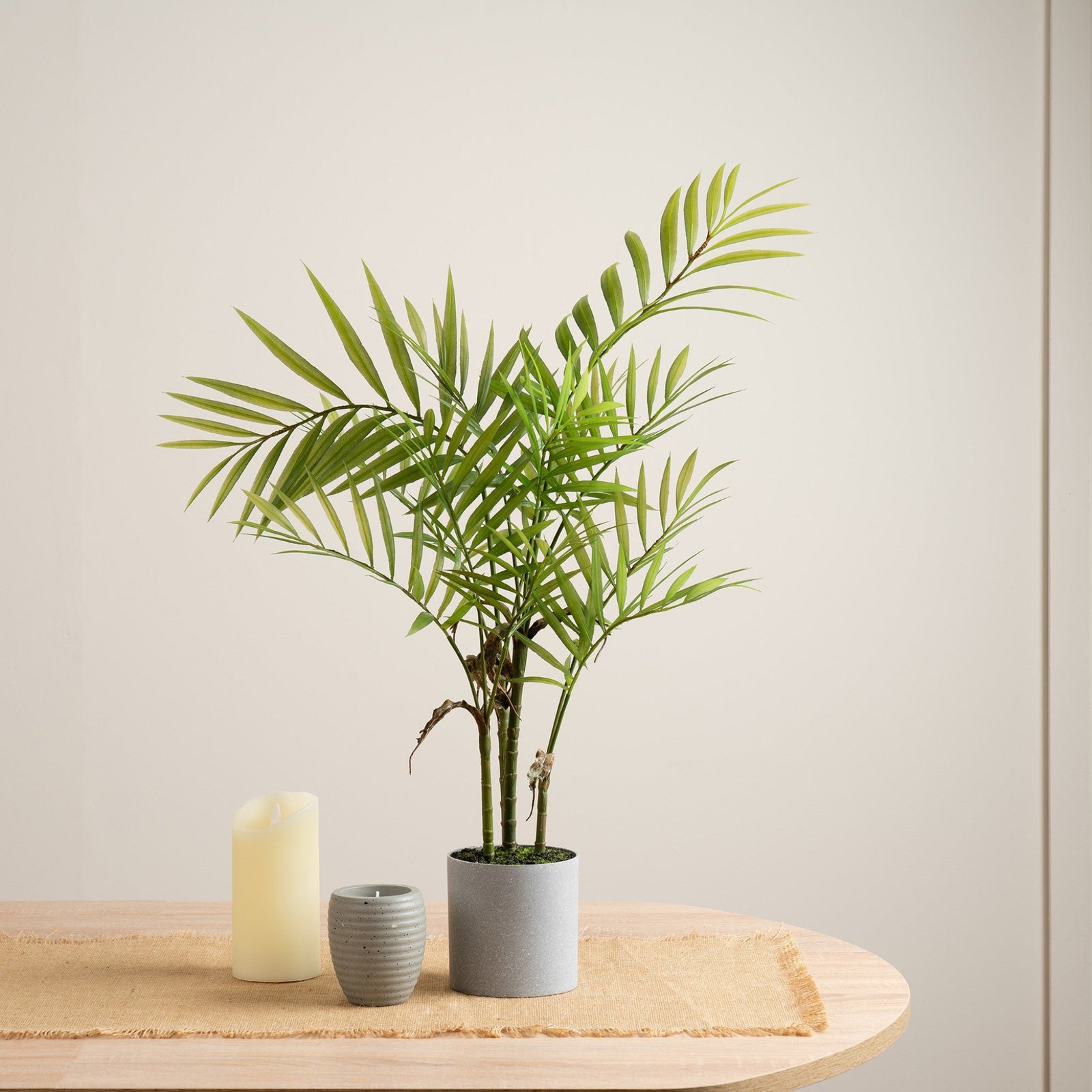 Palm In Grey Plastic Pot - 66CM Palm in Grey Plastic Pot Sterling Home 1