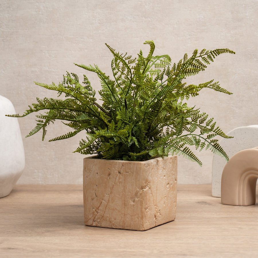 Fern In Travertine Style Pot - 37CM Fern in Travertine Style Pot Sterling Home 1