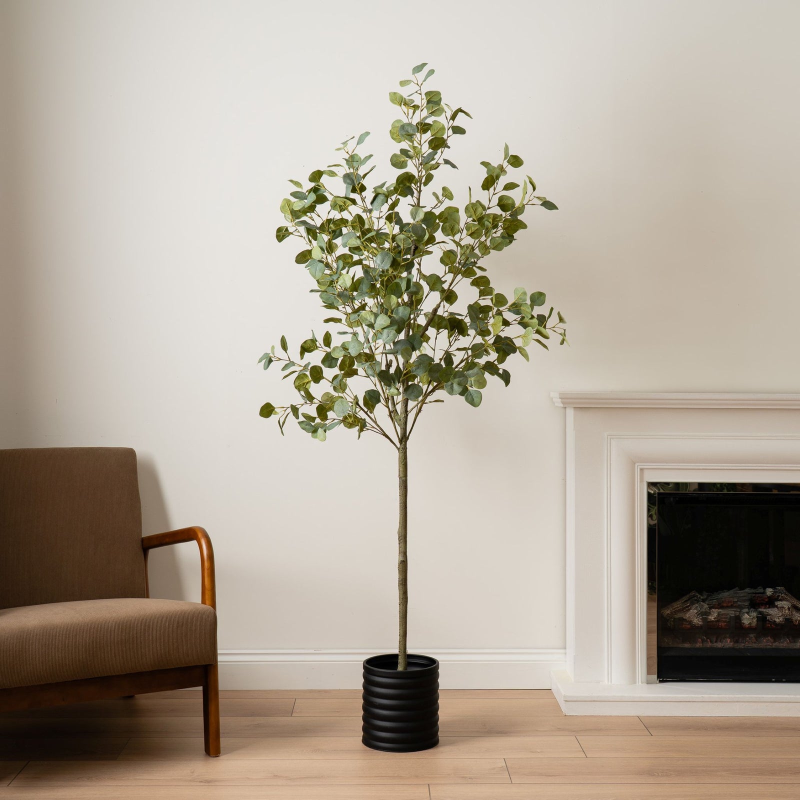 Eucalyptus Tree 185CM - 185CM Eucalyptus Tree