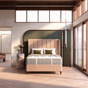 Sealy Sensation Divan Bed Set - P/T Standard Divan Set 150 x 200cm - King Sterling Home 1