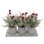 Snowy Cypress & Berry In Pot - Snowy Cypress & Berry In Pot Sterling Home 1