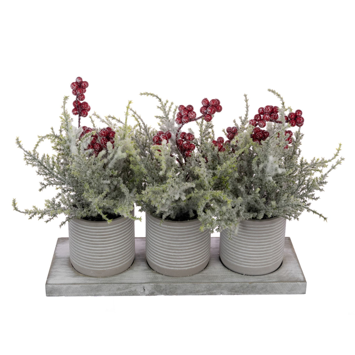 Snowy Cypress & Berry In Pot - Snowy Cypress & Berry In Pot Sterling Home 1