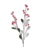 Snowy Echinop Spray 68CM