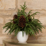 Waxed Pine & Pinecone In Pot