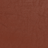 7606 Wilde swatch