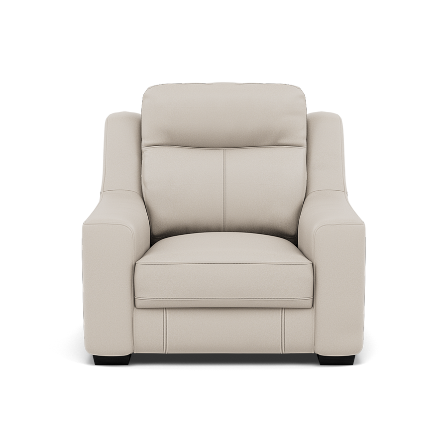 Dino Armchair - Armchair BXS Only Armchairs Sterling Home BXS-156E FROST 1