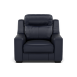 Dino Armchair - Armchair BXS Only Armchairs Sterling Home 6 BXS-036C NAVY