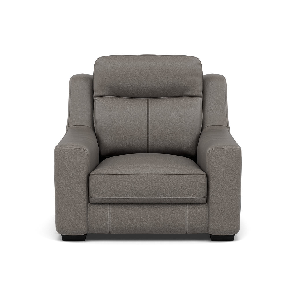 Dino Armchair - Armchair BXS Only Armchairs Sterling Home 12 NWS-042E ELEPHANT