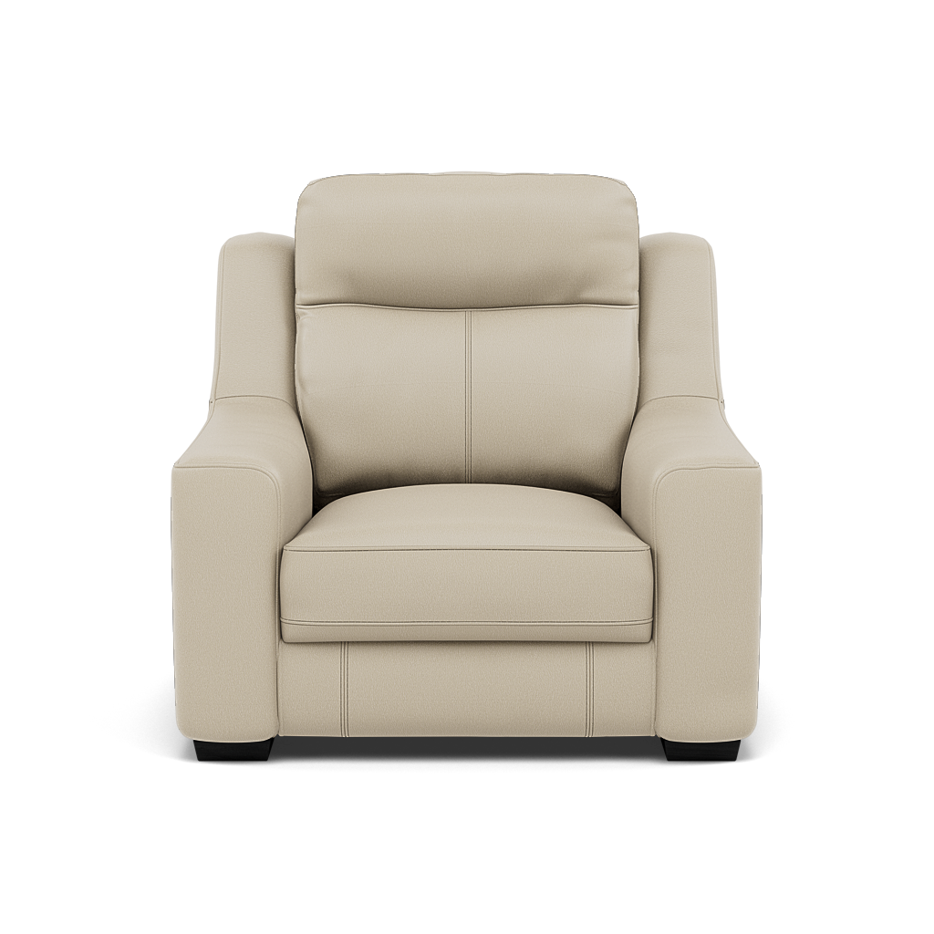 Dino Armchair - Armchair BXS Only Armchairs Sterling Home 4 BXS-041E SILVER GREY