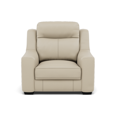 Dino Armchair - Armchair BXS Only Armchairs Sterling Home 4 BXS-041E SILVER GREY