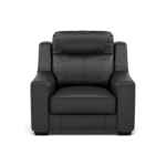 Dino Armchair - Armchair BXS Only Armchairs Sterling Home 1 BXS-058E SHALE