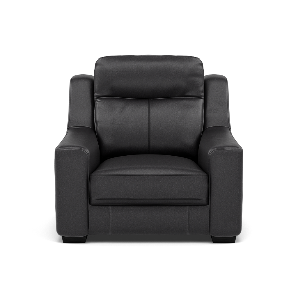Dino Armchair - Armchair BXS Only Armchairs Sterling Home 1 BXS-058E SHALE