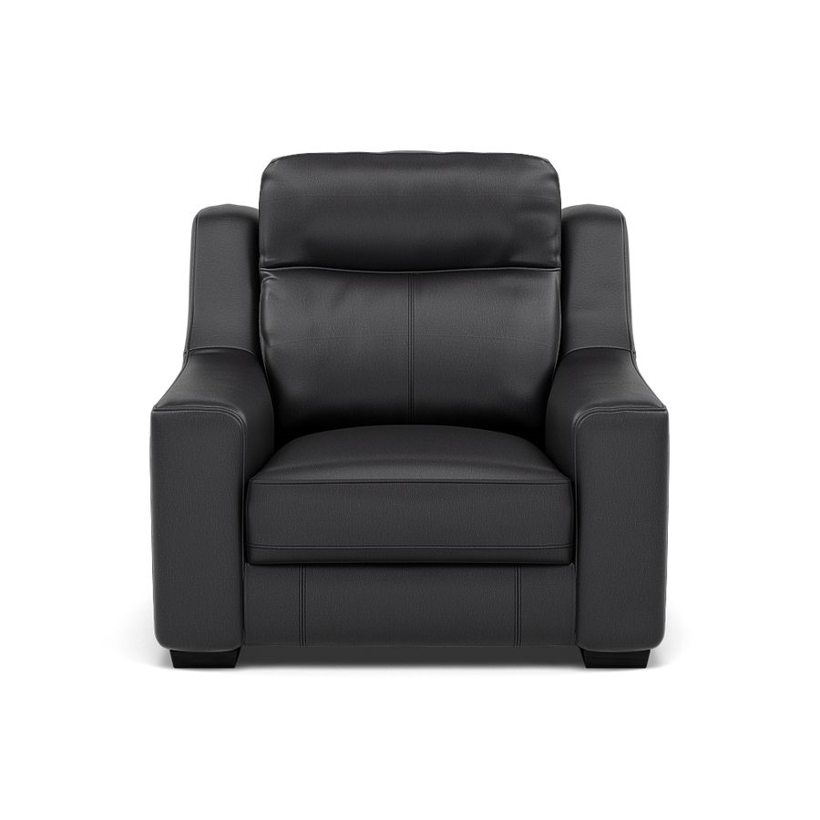 Dino Armchair - Armchair BXS Only Armchairs Sterling Home 1 BXS-058E SHALE