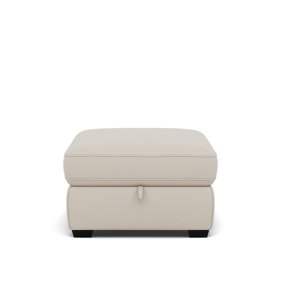 Dino Storage Footstool - Storage footstool BXS Only Footstools Sterling Home BXS-156E FROST 1