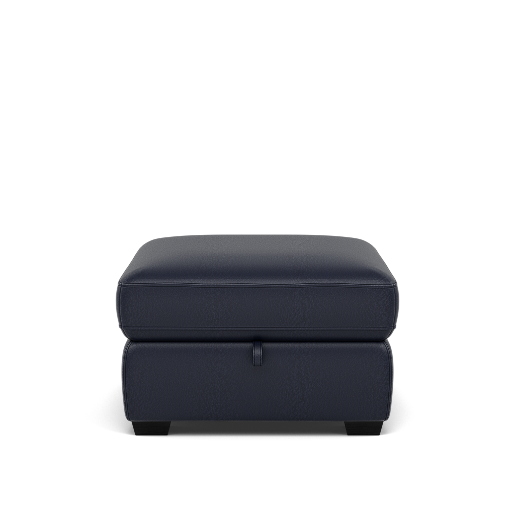 Dino Storage Footstool - Storage footstool BXS Only Footstools Sterling Home 6 BXS-036C NAVY