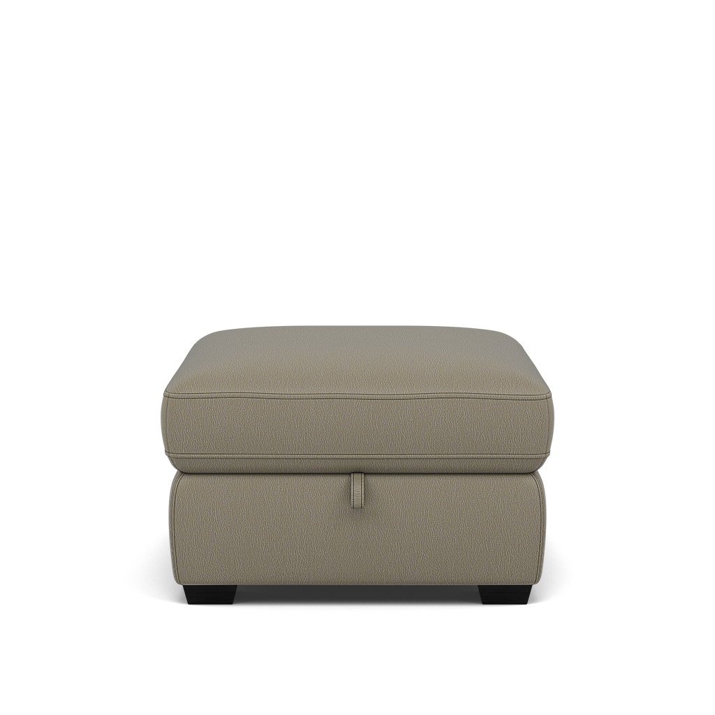 Dino Storage Footstool - Storage footstool BXS Only Footstools Sterling Home 5 BXS-039C PEBBLE