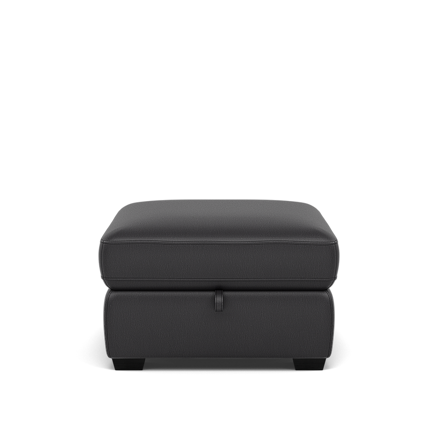 Dino Storage Footstool - Storage footstool BXS Only Footstools Sterling Home 1 BXS-058E SHALE