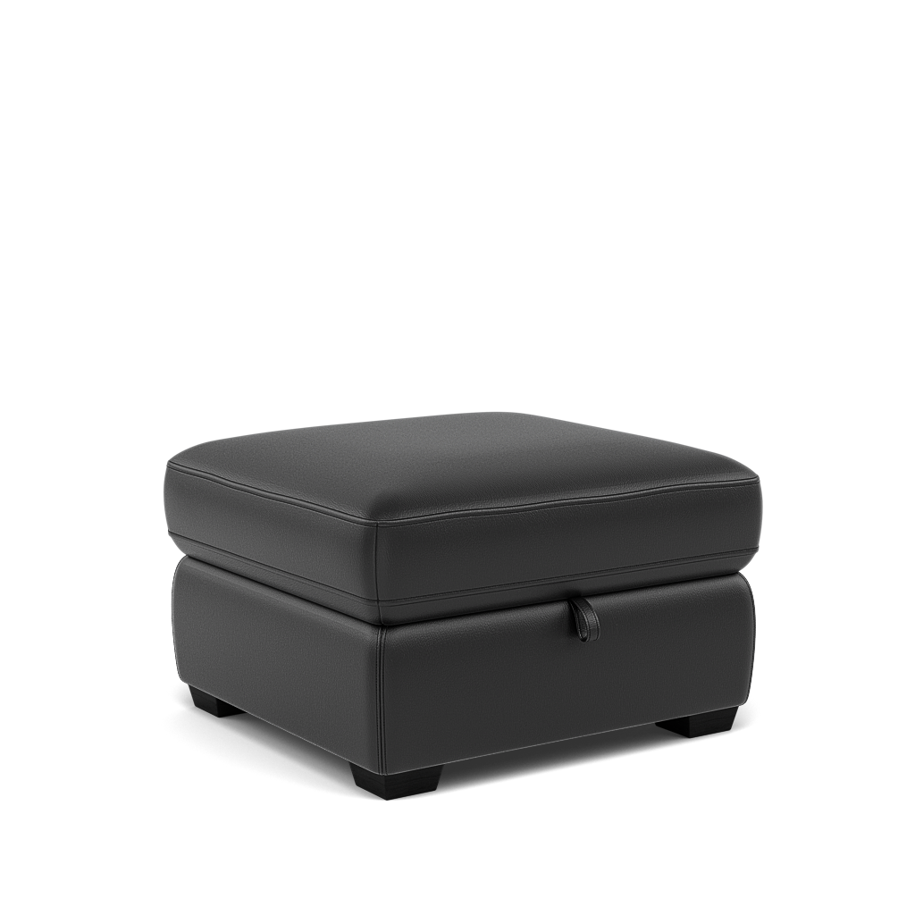 Dino Storage Footstool - Storage footstool BXS Only — BXS-023C BLACK, gallery image 1