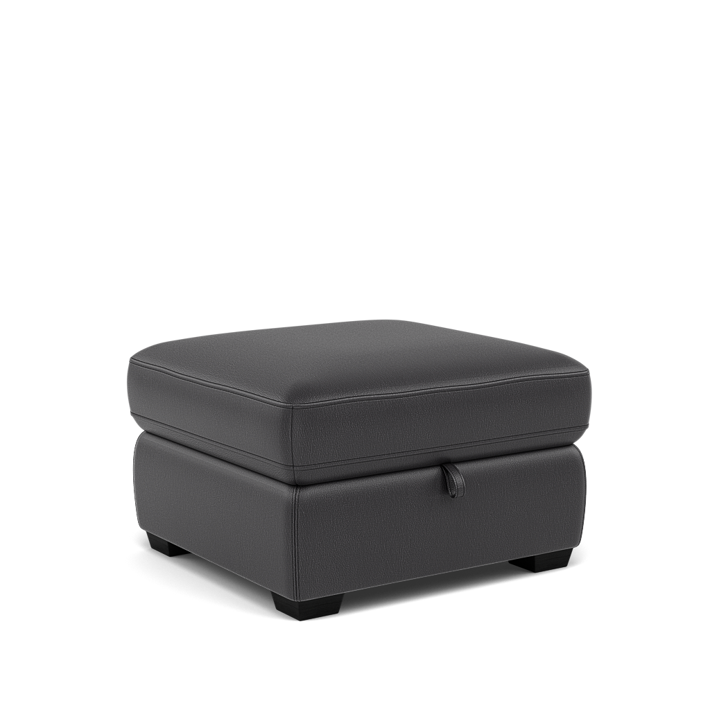 Dino Storage Footstool - Storage footstool BXS Only — BXS-058E SHALE, gallery image 1