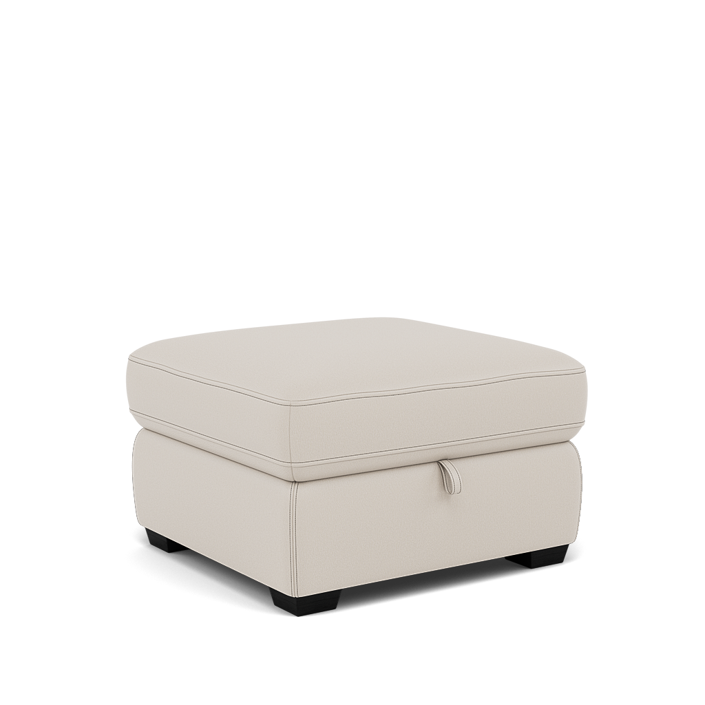 Dino Storage Footstool - Storage footstool BXS Only — BXS-156E FROST, gallery image 1