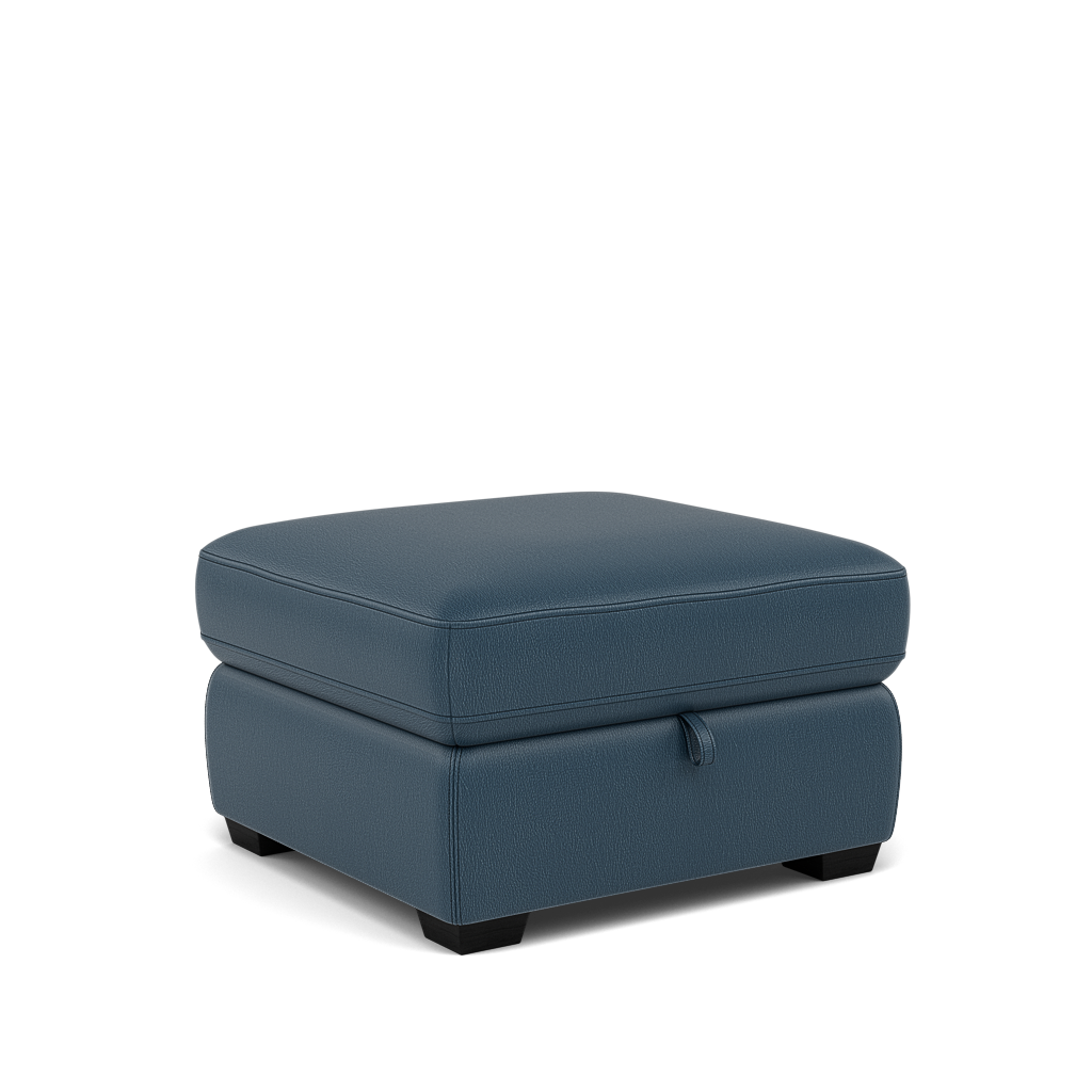 Dino Storage Footstool - Storage footstool BXS Only — BXS-313E Ocean Blue, gallery image 1