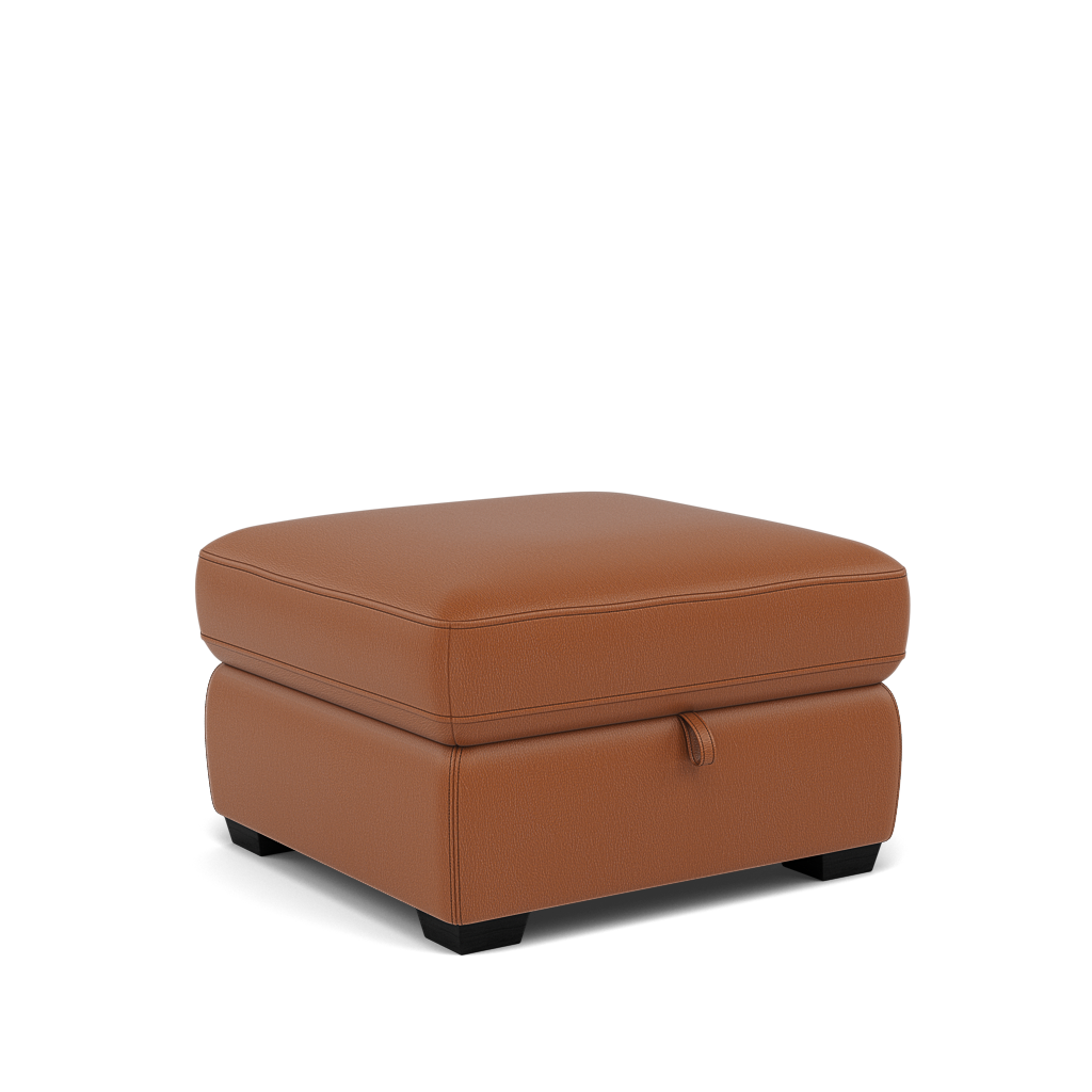 Dino Storage Footstool - Storage footstool BXS Only — BXS-334E PECAN BROWN, gallery image 1