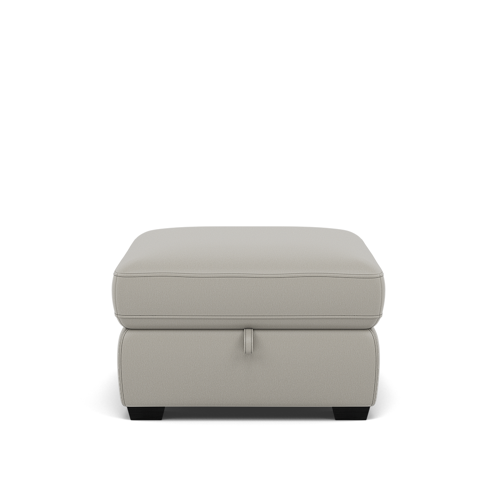 Dino Storage Footstool - Storage footstool BXS Only Footstools Sterling Home 3 BXS-251E GREY