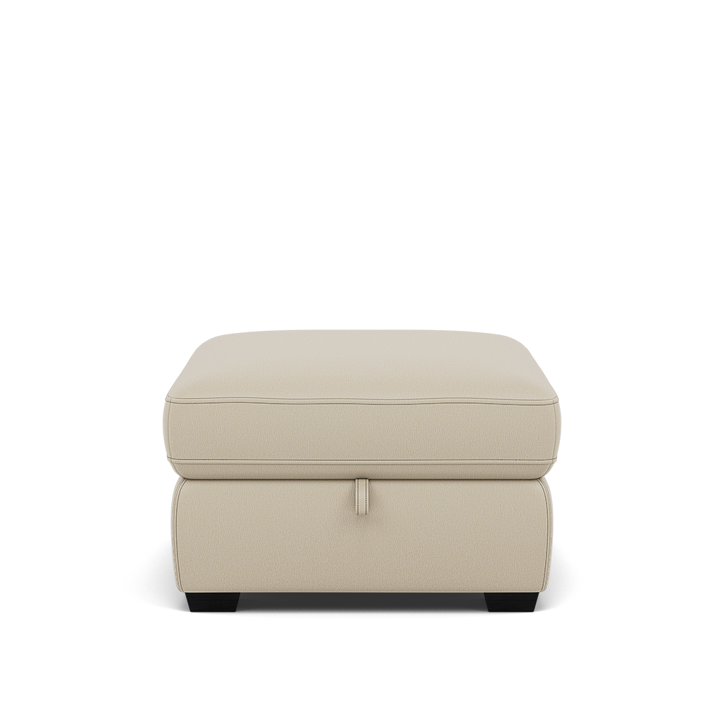 Dino Storage Footstool - Storage footstool BXS Only Footstools Sterling Home 4 BXS-041E SILVER GREY