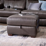 Dino Storage Footstool - Storage footstool BXS Only Footstools Sterling Home 2