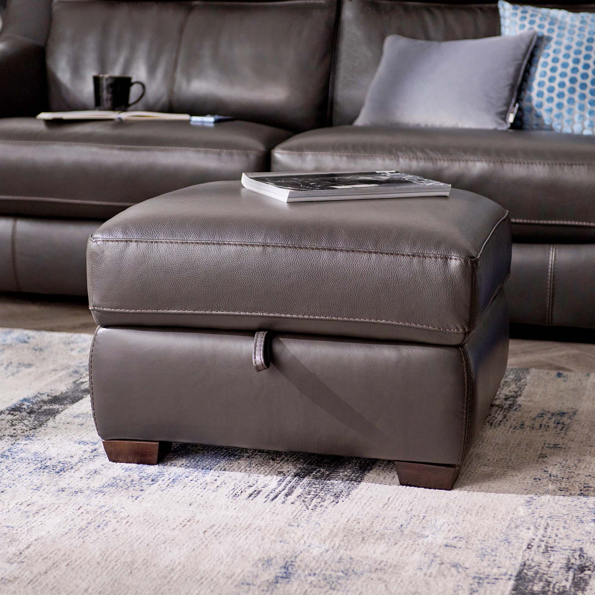 Dino Storage Footstool - Storage footstool BXS Only Footstools Sterling Home 2