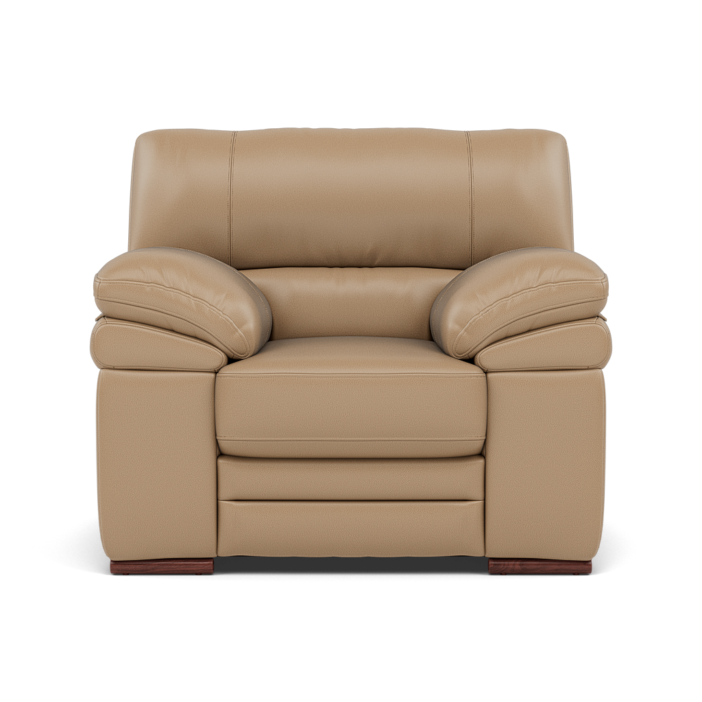 Gino Armchair - Armchair Cat 60