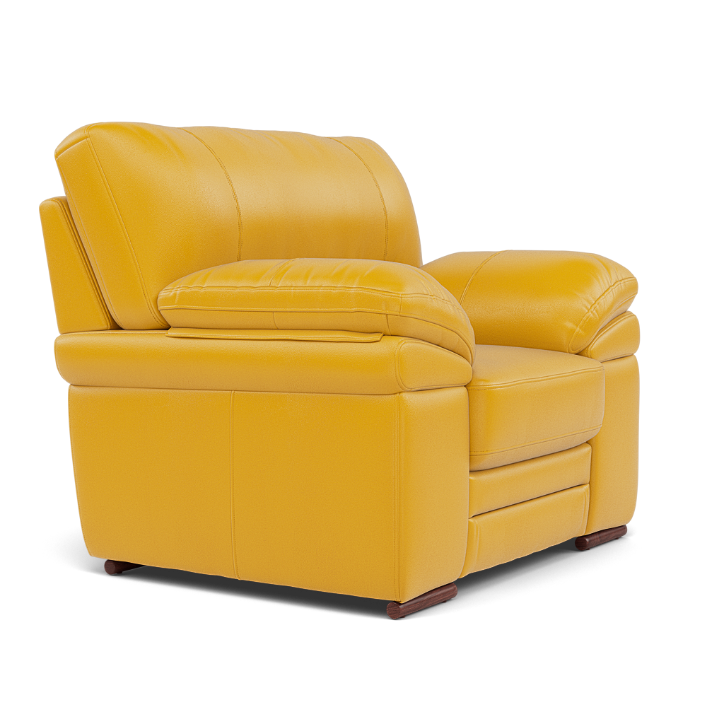 Gino Armchair - Armchair Cat 60 — Cat-60/10 Montana Sunburst / Wooden Feet, gallery image 1