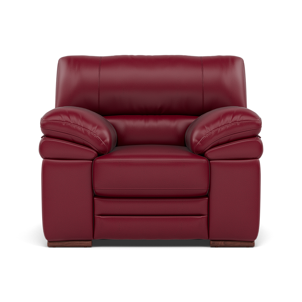 Gino Armchair - Armchair Cat 60
