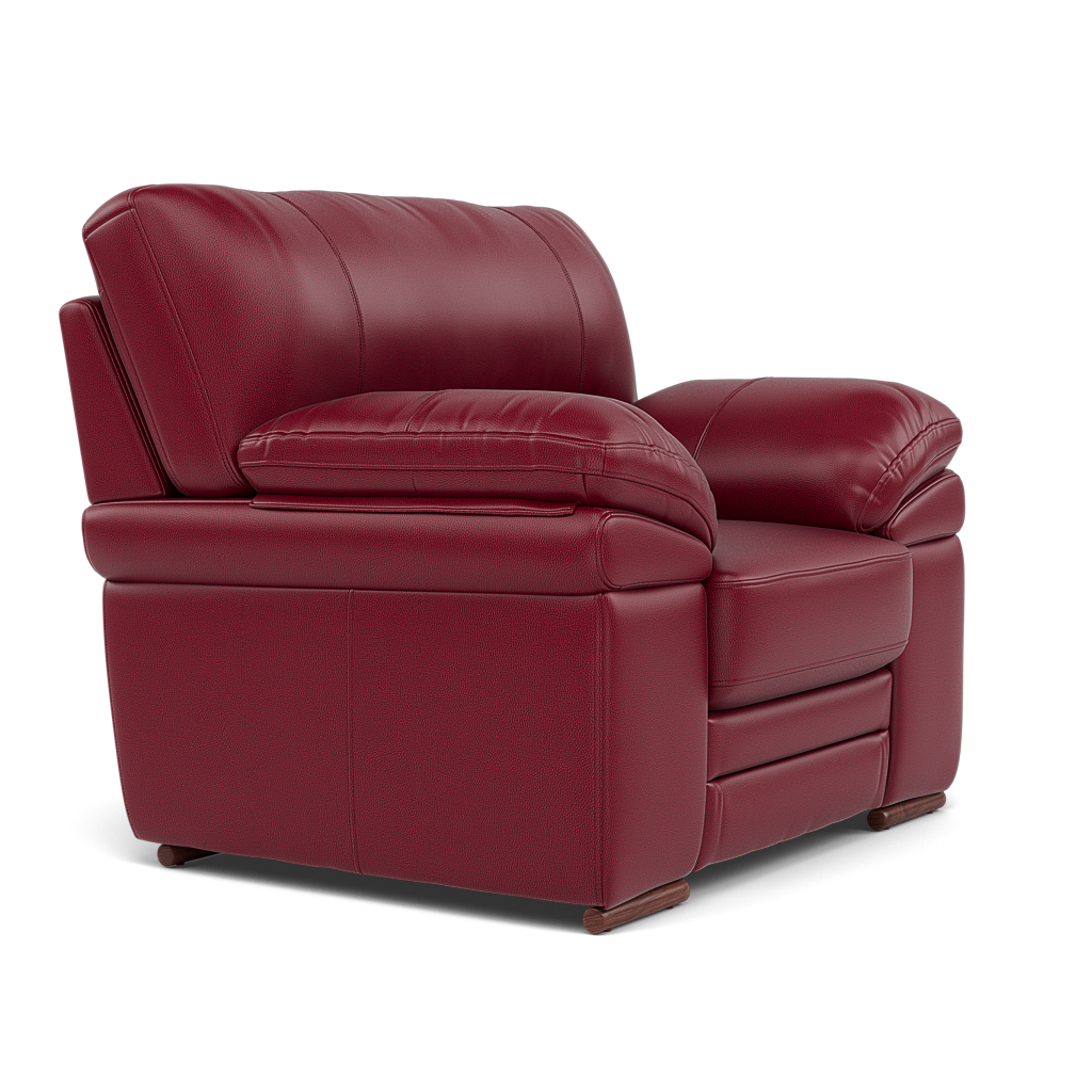 Gino Armchair - Armchair Cat 60 — Cat-60/13 Montana Cranberry / Wooden Feet, gallery image 1