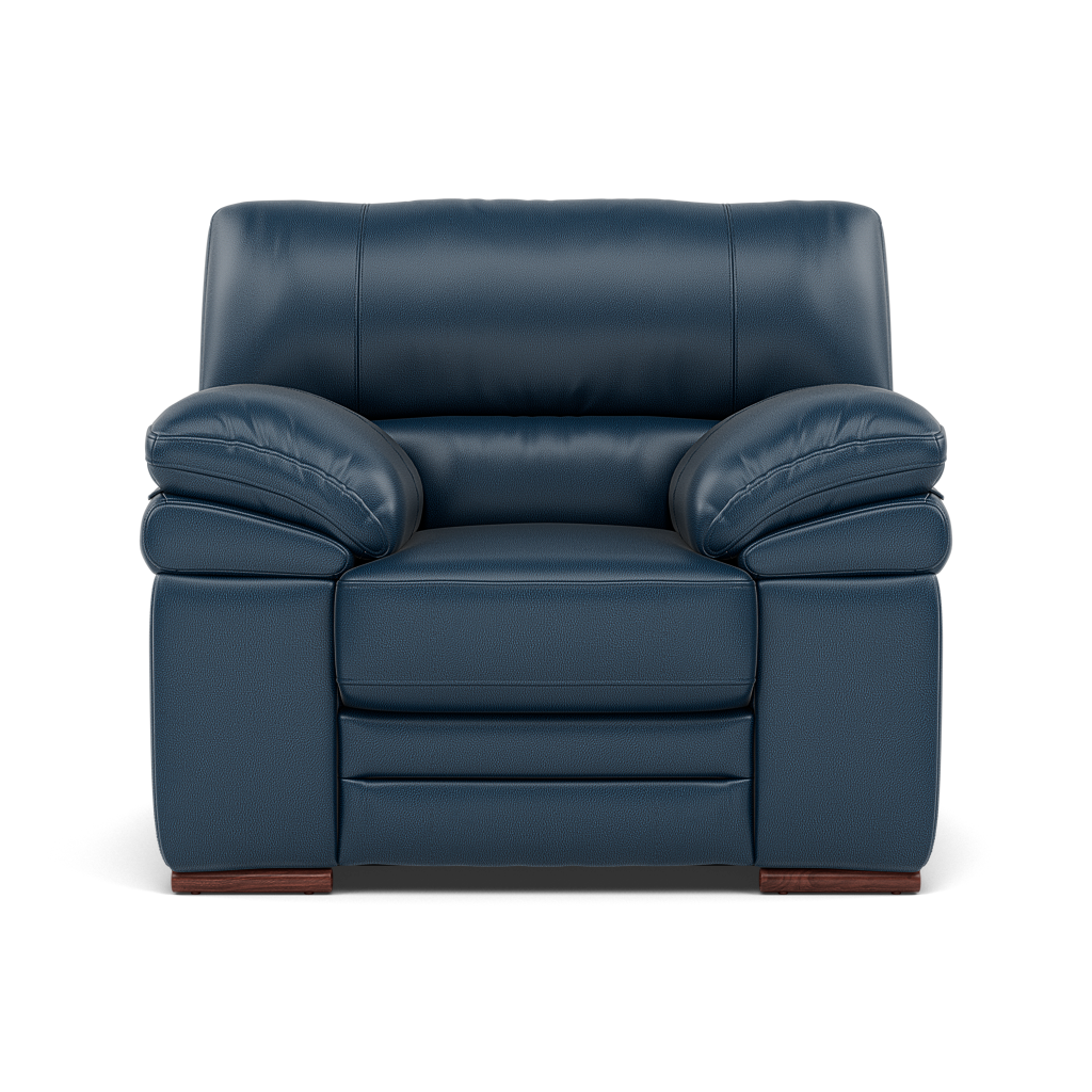 Gino Armchair - Armchair Cat 60
