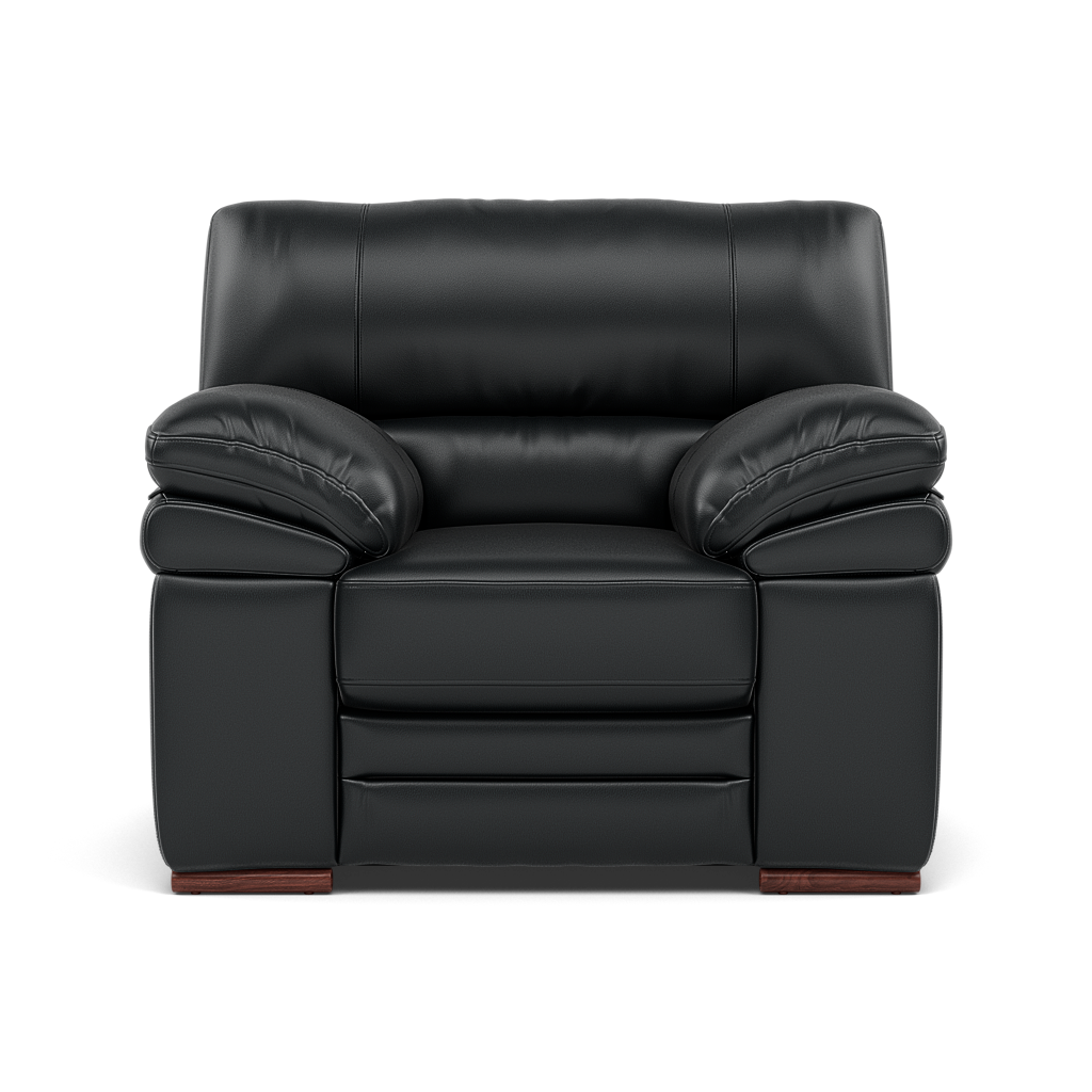 Gino Armchair - Armchair Cat 60