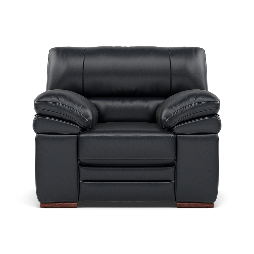 Gino Armchair - Armchair Cat 60