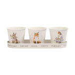 Wrendale Set of 3 Herb Pots With Tray Woodland - Set of 3 Herb Pots With Tray Woodland Sterling Home 2
