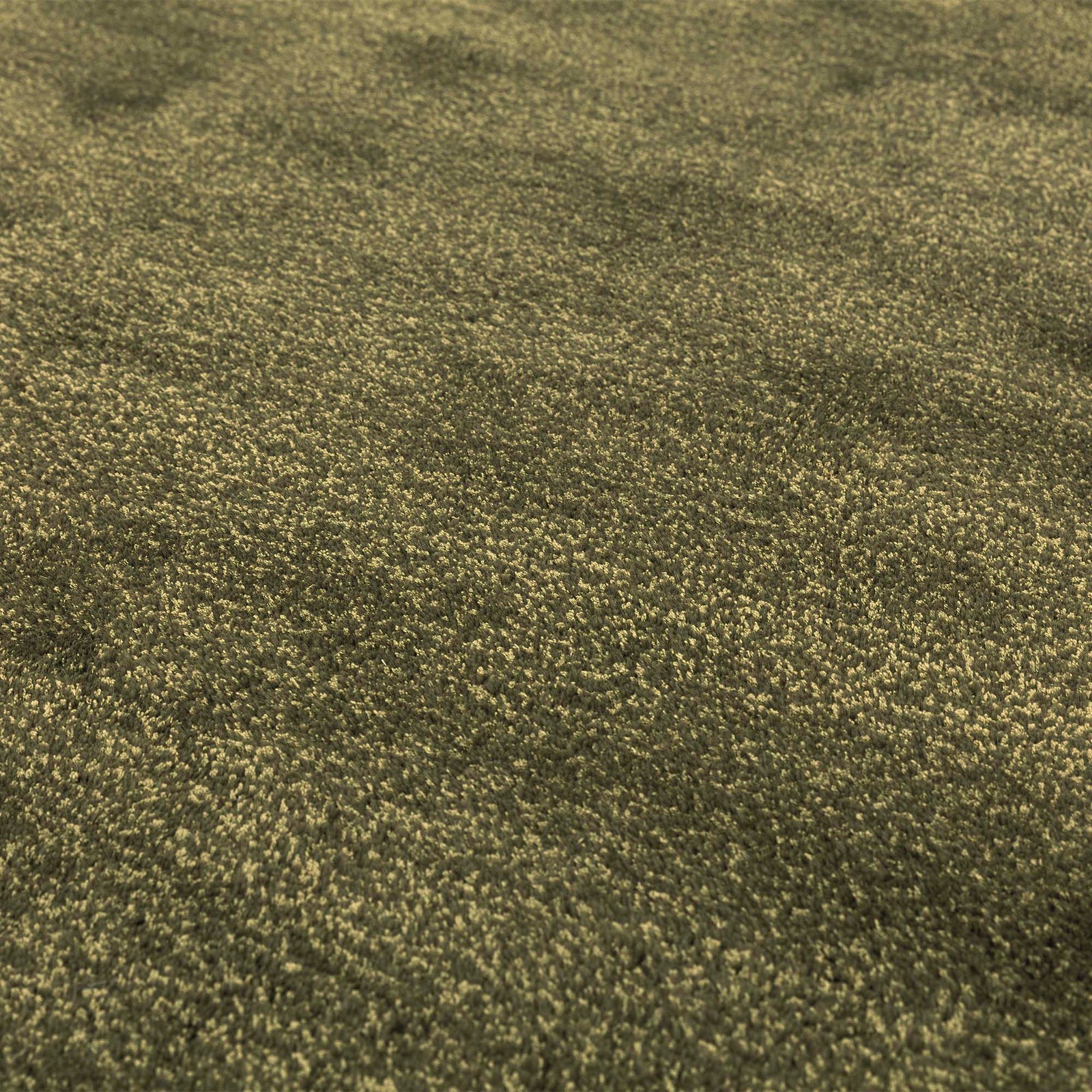Harris Olive Rug - Olive - 200cm x 300cm Sterling Home 3