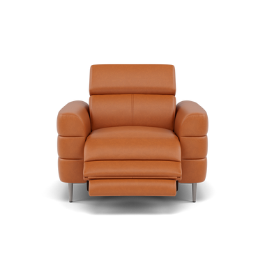 Hoy Recliner Armchair - Chair W/ Power Recliner W/ Power Headrest Cat NL/O - Power with Power Headrest & USB Sterling Home 12 O7303 Orlando Meerkat