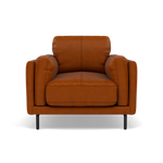 Morris Armchair - Armchair Cat 30F Sterling Home 4 SK-077D TAN