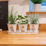 Wrendale Set of 3 Herb Pots With Tray Woodland