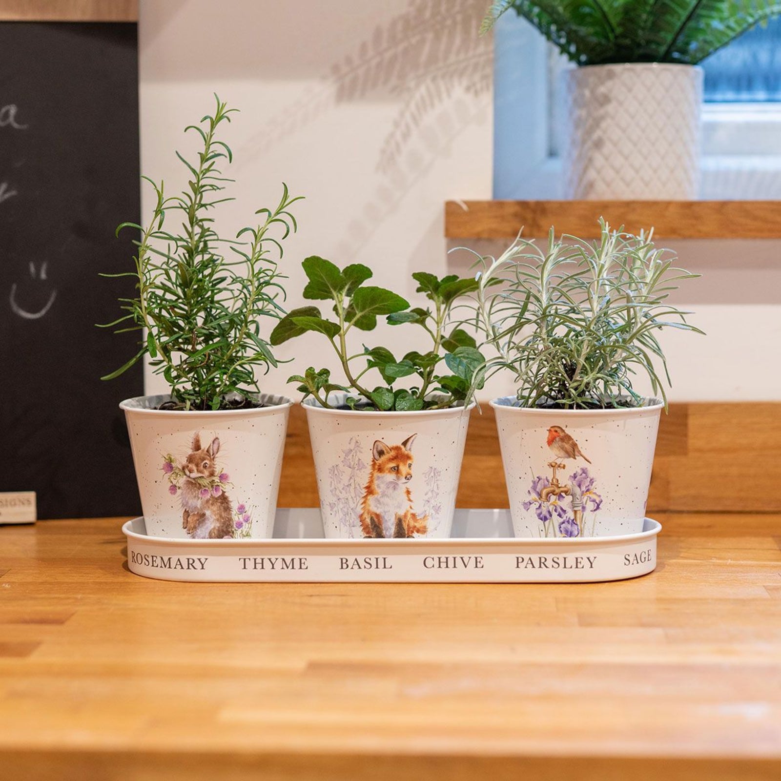 Wrendale Set of 3 Herb Pots With Tray Woodland - Set of 3 Herb Pots With Tray Woodland Sterling Home 1